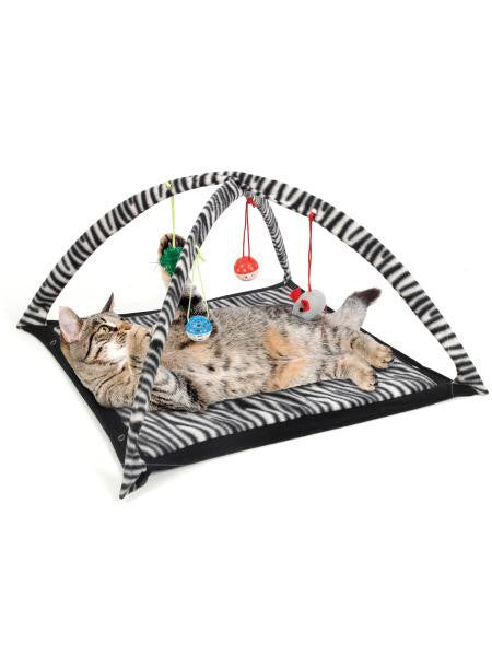 Zebra Print Cat Play Tent with Dangle Toys (Available in a pack of 1)