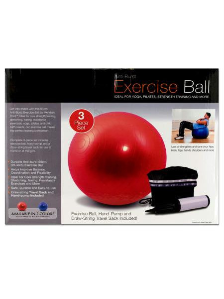 Exercise Ball with Pump (Available in a pack of 1)